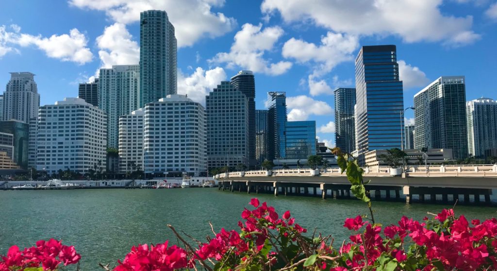 image of Miami skyline